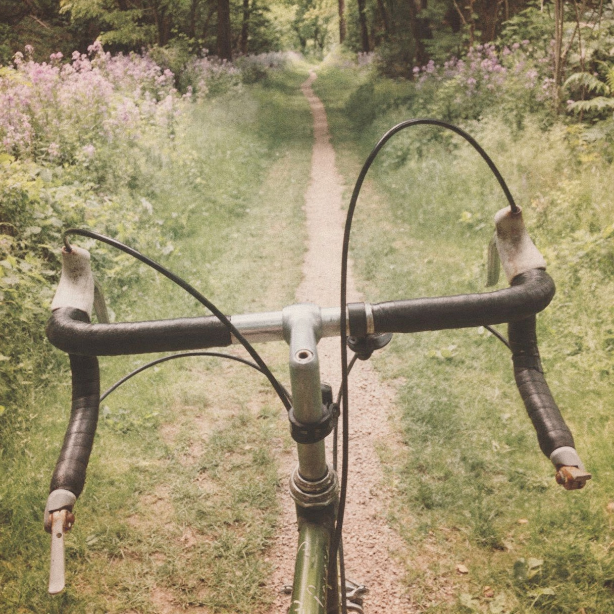 A view over bicycle handlebars down a narrow dirt path through tall grass and wildflowers, leading into a wooded trail
